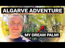 Portugal Palms - Algarve Resort Garden Tour & Exotic Planting!