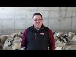 Find out how lambing in progressing on Tullamore Farm