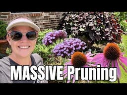 🌿🏵️ PRUNING the West Facing Garden | Spirea, Ruby Falls Red Bud, and Daffodil Foliage Clean Up