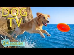 DOG TV: Videos Entertain & Relax for Dogs to Watch When Home Alone - Best Collection Music for Dogs