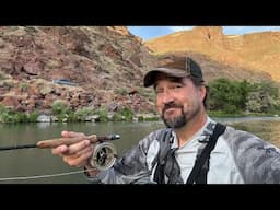 After-Work Therapy: Pursuing Brown Trout on the Fly