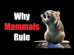 What Makes Mammals Special