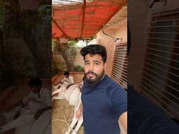 Wait for and 💔Hoof cutting😭 #syedfahad