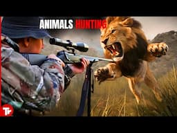 This Hunter Risked His Life Hunting for Lions in the Safari