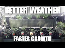 Better weather faster growth [Container Gardening ]