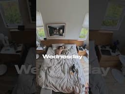 Insta360 X5 Mini Vlog