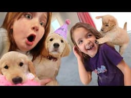SURPRiSE PUPPY PARTY for ADLEY!!  Navey sneaks Puppies in our House! Barbie presents & Cake Crafts