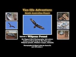 Van Life Adventure : Ep 2  Wilpena Pound SA Desert