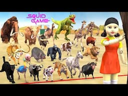 Animals Dinosaurs vs Squid Game Doll Red Light, Green Light Run Cow vs Lion vs Elephant vs Dinosaur