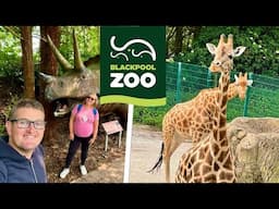 Blackpool Zoo Vlog 2025 - FULL Tour, Railway & Dinosaur Park!