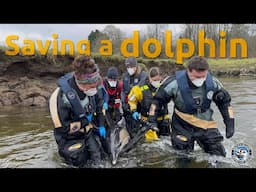 Lostwithiel dolphin Rescue 2025