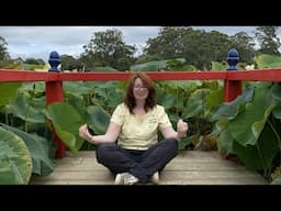 Take a Moment to Focus on Yourself Today: guided meditation for educators
