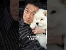 Jackie Chan and his furry army