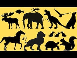 Guess the Animal by Its Silhouette! 🐾 Fun Quiz Game for Kids | Learn Animals