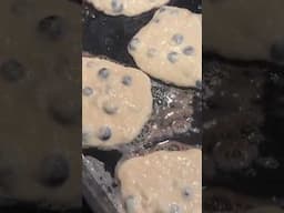 Sourdough blueberry pancakes.  Wagonwheelhomestead.com #sourdough #pancakes #blueberry