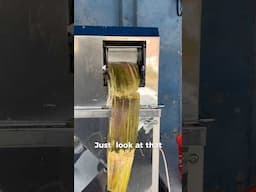 Natural cane juice daily in jamaica