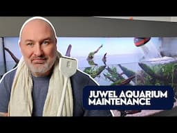 Step by Step MAINTENANCE on My JUWEL AQUARIUM