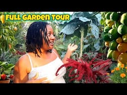 Full Garden Tour for April 2025. Spring Garden Never looked Better!