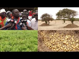 Concurrence déloyale:Les producteurs de Keur Abdou Ndoye menacent d’observer 5 à 15 jours d’arrêt...