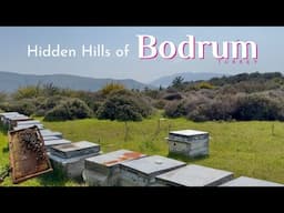 Beekeeping with Stunning Aegean Views - Bodrum, Turkey | + Antique Market & Quiet Weekend Downtown
