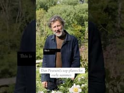 World renowned designer Dan Pearson picks his favourite plants for this time of year #plantgoals