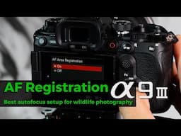 AF registration to set your Sony camera up for fast and effective Autofocus
