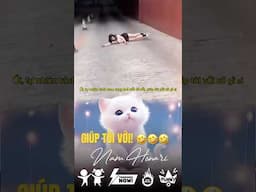 Đã có tôi ở đây, đừng lo 🤣 #shorts #funny #relaxing