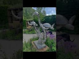 My Chelsea Flower Show Press Day Highlights #gardening #reels #shortvideo #chelseaflower #flowers