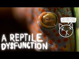 Raccoon Tour - A Reptile Dysfunction (Official Lyric Video)