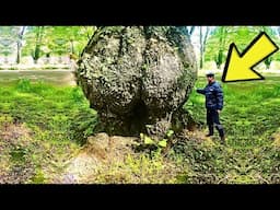 Man Sees Strange Lump On Tree, His Instinct Said Keep Digging – He Couldn't Believe What He Found