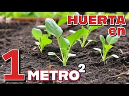HUERTA URBANA en 1 m² | Cómo PLANTAR muchas HORTALIZAS en POCO ESPACIO