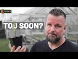 I Moved My Chilli Plants Out Early…Here’s What Happened! 2025.e05
