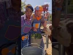 Farmer Meekah and Blippi Feed the Cows