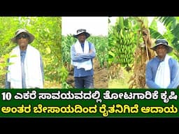 10 ಎಕರೆಯಲ್ಲಿ ಸಾವಯವದಲ್ಲಿ ತೋಟಗಾರಿಕೆ ಕೃಷಿ | modren horticulture farming | organic farming in kannada