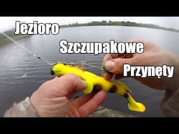 Pierwsze SZCZUPAKI na Duże PRZYNĘTY