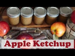 Apple Ketchup Canning Recipe [Fruit Ketchup]