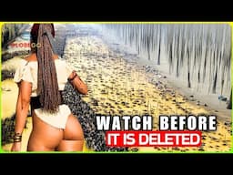 New Zealand's STUNNING PARADOX: 80% Is UNINHABITED! Chilling Reason People Out of Here - Documentary