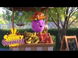 🐰 Hotspotch Bunnies | Sunny Bunnies | Cartoons for Kids
