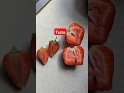 Taste Test On These Strawberries, Which Is Best? #tastetest