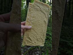 Preserving applesauce by freeze drying