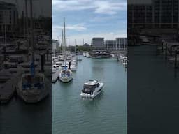 Setting Up for 2025 South Coast & Green Tech Boat Show