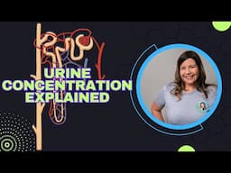 Urine concentration explained: Dilute vs. concentrated urine