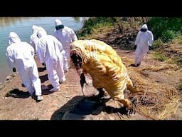 Something Weird Discovered At The Jordan River