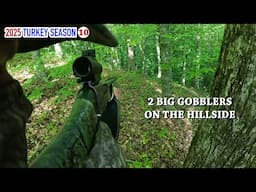 Calling Up Hard Gobbling Turkeys - Hunting by Boat in the Hills