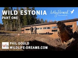 WILD ESTONIA - Photographing wildlife at Phil Gould's Hide