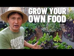 Why I Won't Stop Organic Gardening After 25 Years & You Shouldn't Either