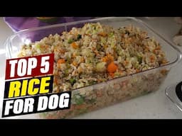 Best Rice for Dogs: Which Type is Healthiest?