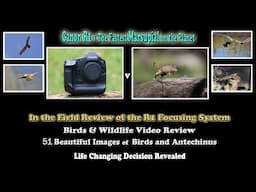 Canon R1 v The Fastest Marsupial on the Planet