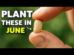 You MUST Plant These Crops in JUNE