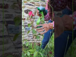 Que faire au jardin en mai ? 5 gestes essentiels pour un jardin en pleine forme | Leroy Merlin